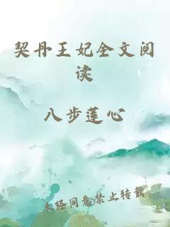 契丹王妃全文閱讀