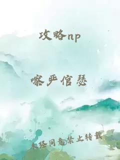攻略np